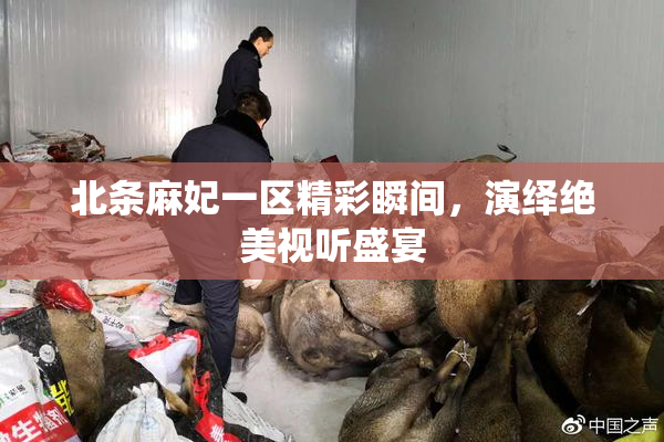 北条麻妃一区精彩瞬间，演绎绝美视听盛宴
