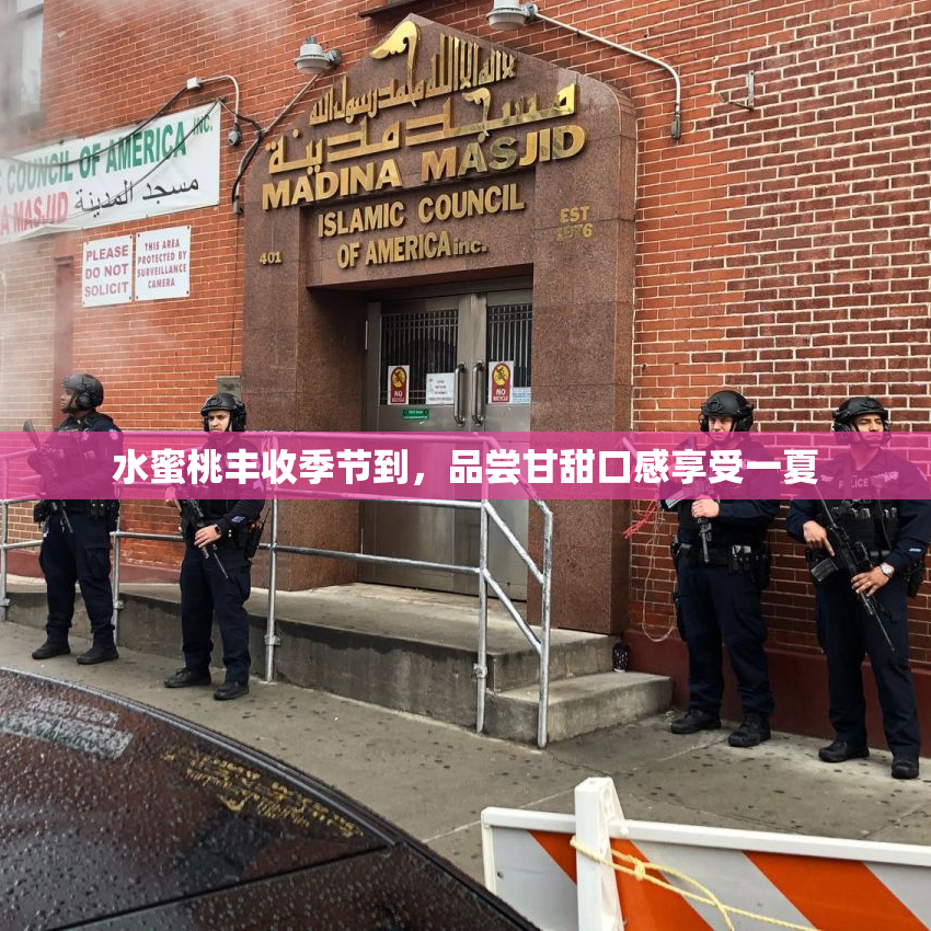 水蜜桃丰收季节到，品尝甘甜口感享受一夏