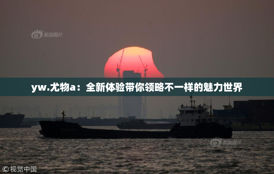 yw.尤物a：全新体验带你领略不一样的魅力世界