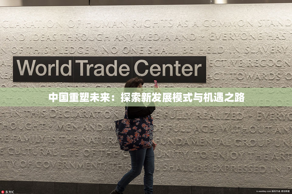 中国重塑未来：探索新发展模式与机遇之路