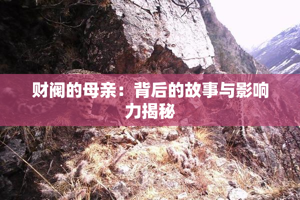 财阀的母亲：背后的故事与影响力揭秘