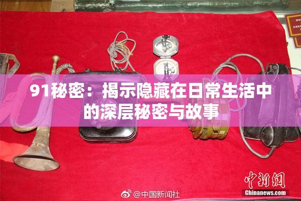 91秘密：揭示隐藏在日常生活中的深层秘密与故事