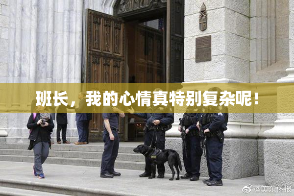 班长，我的心情真特别复杂呢！
