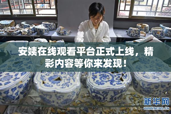 安姨在线观看平台正式上线，精彩内容等你来发现！