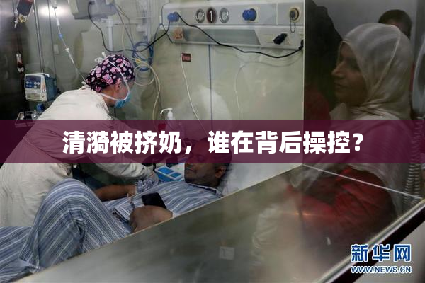 清漪被挤奶，谁在背后操控？