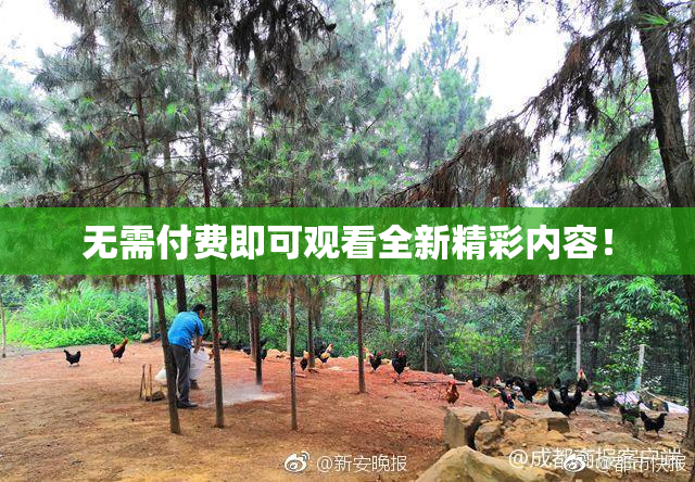 无需付费即可观看全新精彩内容！