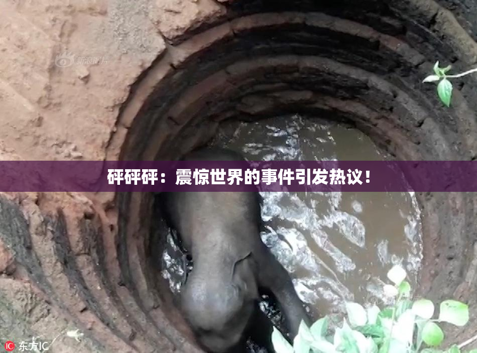 砰砰砰：震惊世界的事件引发热议！