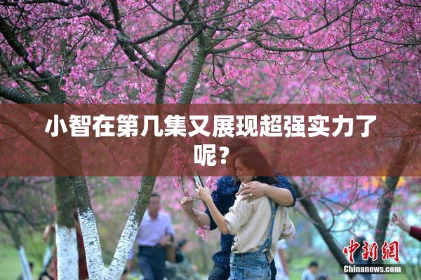 小智在第几集又展现超强实力了呢？