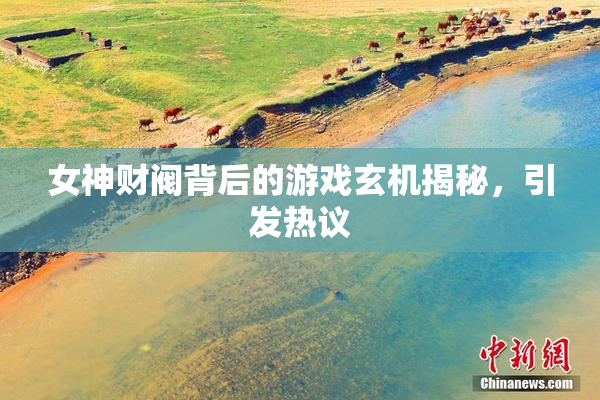 女神财阀背后的游戏玄机揭秘，引发热议