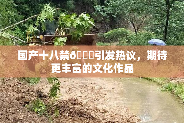 国产十八禁🔞引发热议，期待更丰富的文化作品