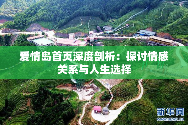 爱情岛首页深度剖析：探讨情感关系与人生选择
