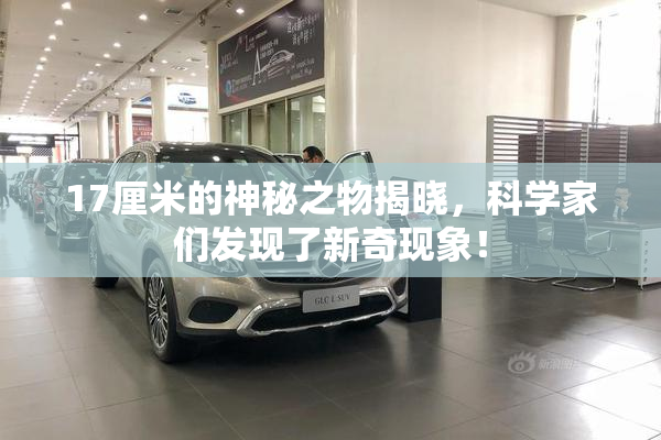 17厘米的神秘之物揭晓，科学家们发现了新奇现象！
