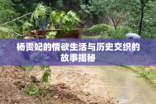 杨贵妃的情欲生活与历史交织的故事揭秘