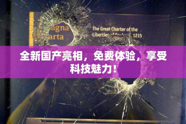 全新国产亮相，免费体验，享受科技魅力！