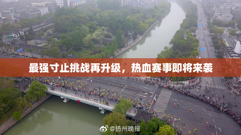 最强寸止挑战再升级，热血赛事即将来袭