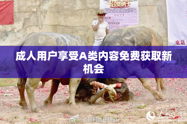 成人用户享受A类内容免费获取新机会