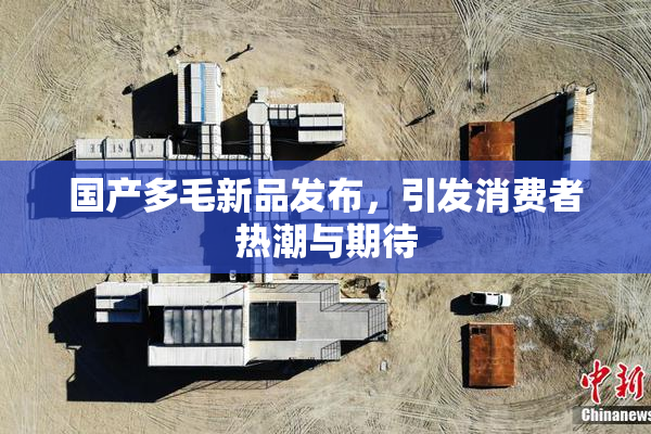 国产多毛新品发布，引发消费者热潮与期待