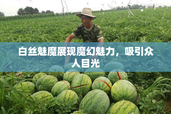 白丝魅魔展现魔幻魅力，吸引众人目光