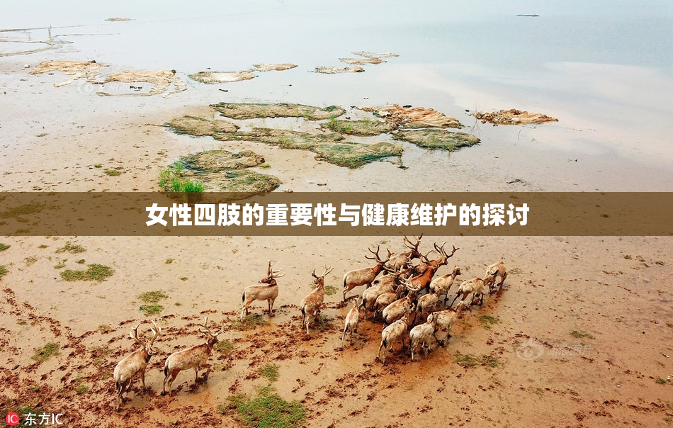 女性四肢的重要性与健康维护的探讨