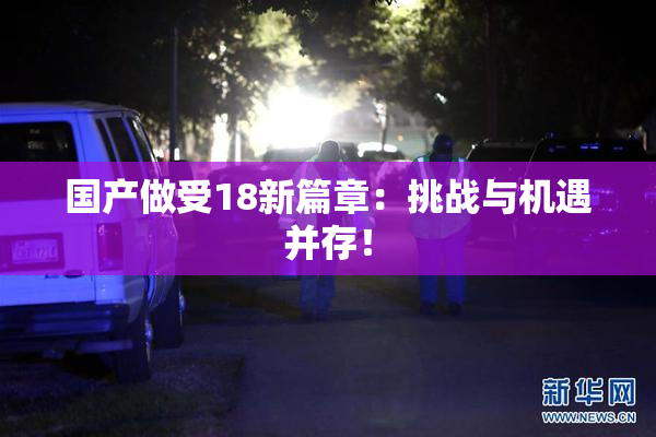 国产做受18新篇章：挑战与机遇并存！