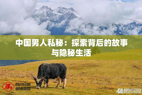 中国男人私秘：探索背后的故事与隐秘生活
