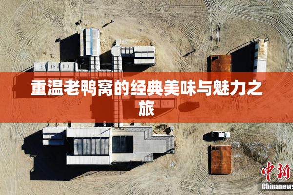 重温老鸭窝的经典美味与魅力之旅