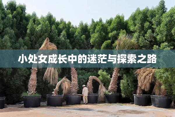 小处女成长中的迷茫与探索之路