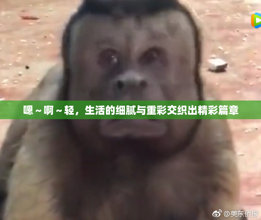 嗯～啊～轻，生活的细腻与重彩交织出精彩篇章
