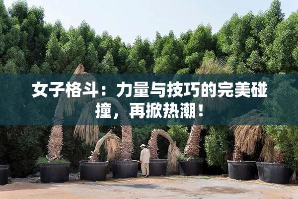 女子格斗：力量与技巧的完美碰撞，再掀热潮！