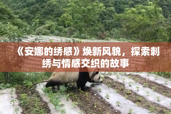 《安娜的绣感》焕新风貌，探索刺绣与情感交织的故事