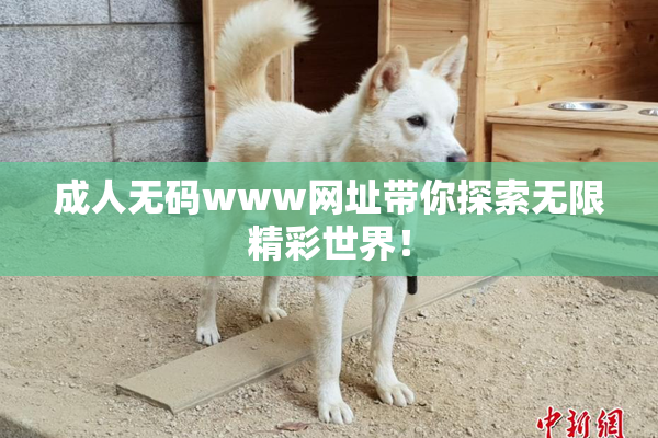 成人无码www网址带你探索无限精彩世界！