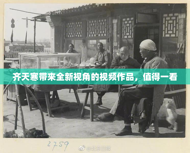 齐天寒带来全新视角的视频作品，值得一看