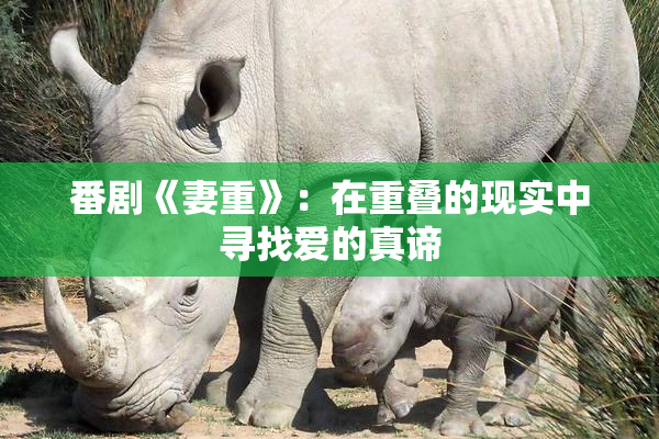 番剧《妻重》：在重叠的现实中寻找爱的真谛