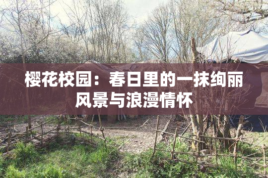樱花校园：春日里的一抹绚丽风景与浪漫情怀