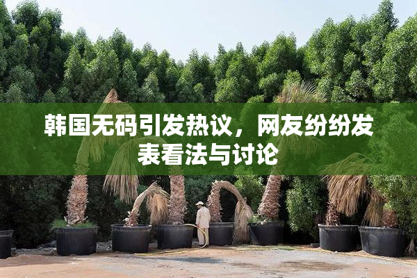 韩国无码引发热议，网友纷纷发表看法与讨论