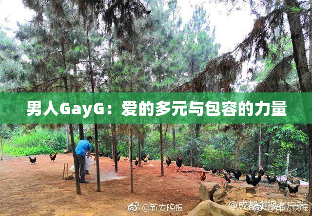 男人GayG：爱的多元与包容的力量