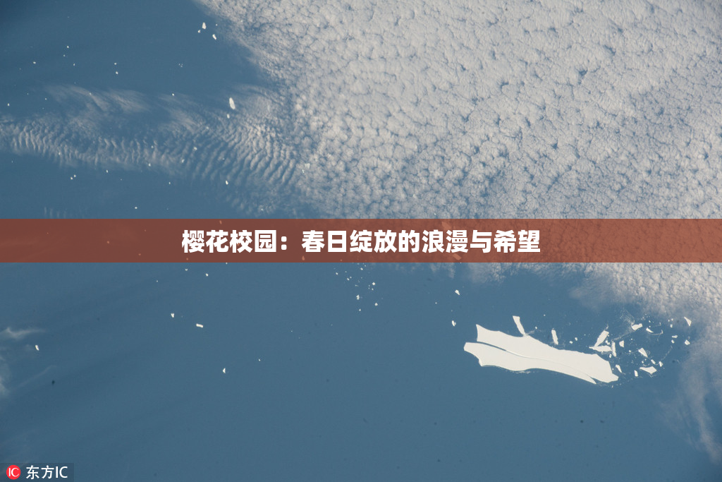 樱花校园：春日绽放的浪漫与希望