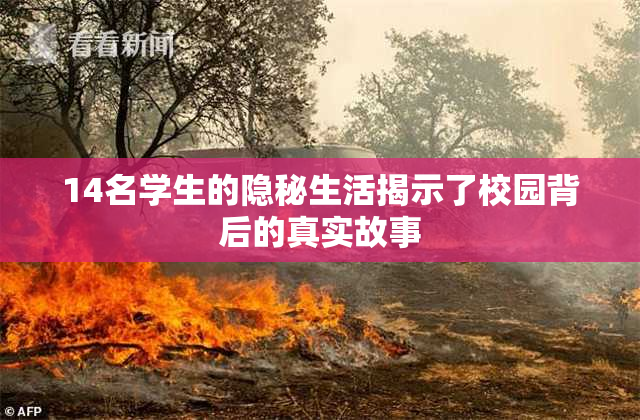 14名学生的隐秘生活揭示了校园背后的真实故事