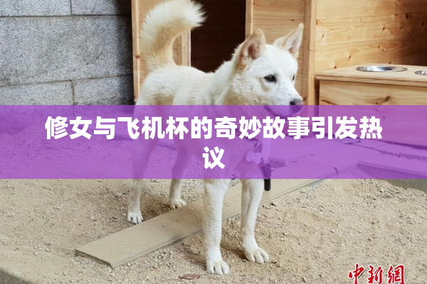 修女与飞机杯的奇妙故事引发热议