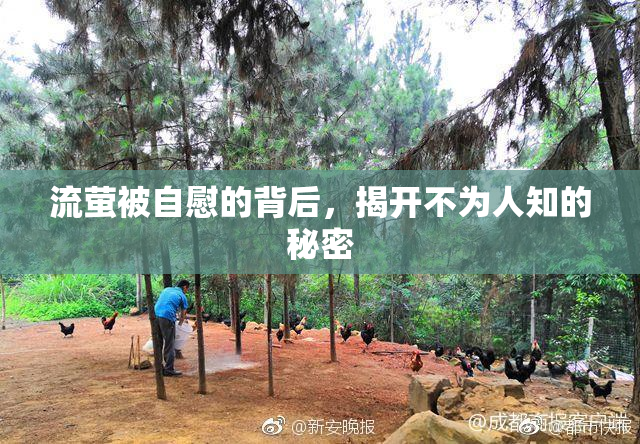 流萤被自慰的背后，揭开不为人知的秘密