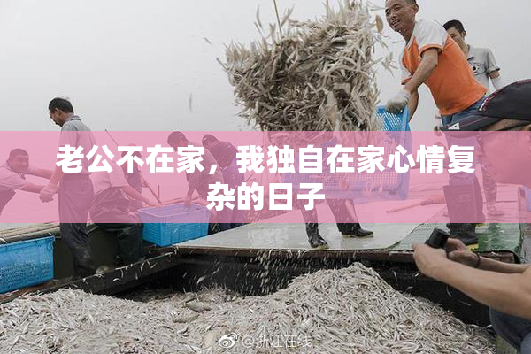 老公不在家，我独自在家心情复杂的日子