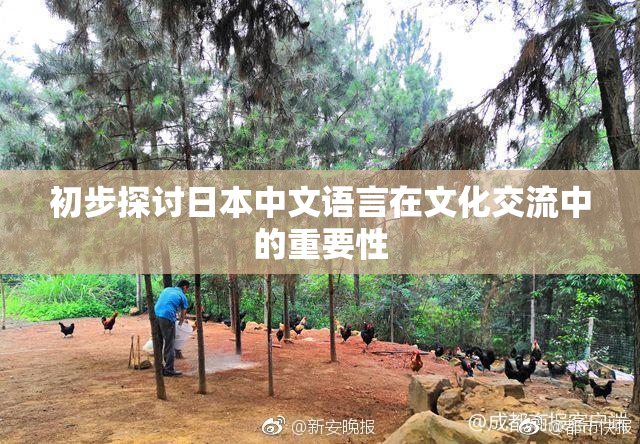 初步探讨日本中文语言在文化交流中的重要性
