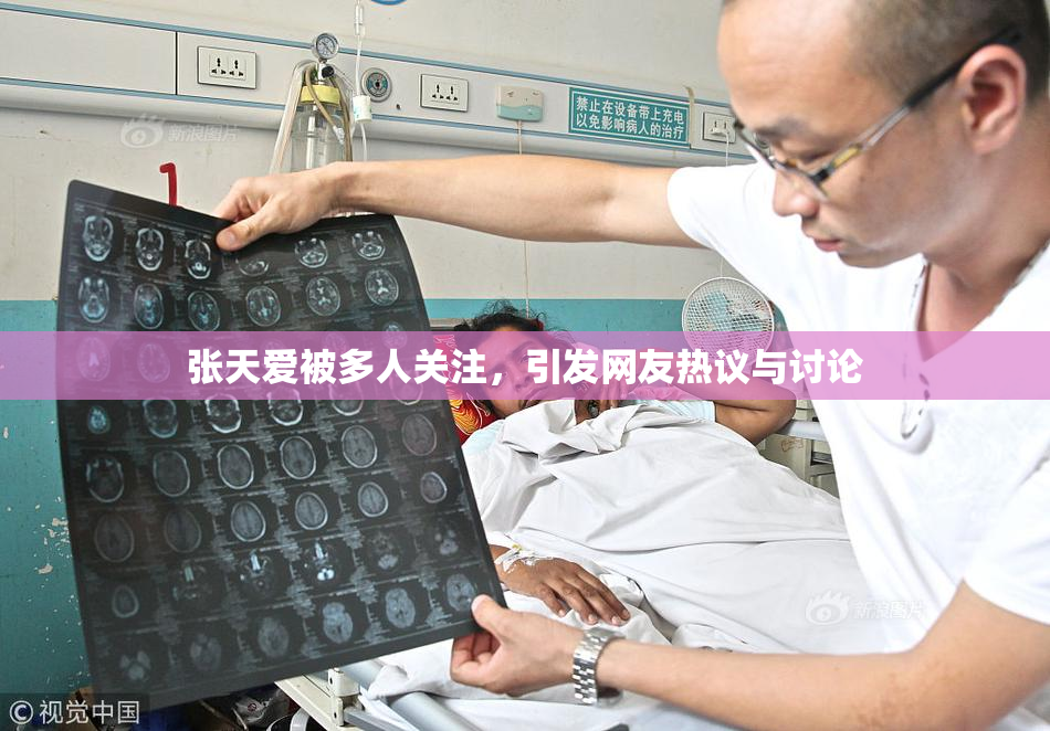 张天爱被多人关注，引发网友热议与讨论