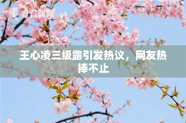王心凌三级露引发热议，网友热捧不止