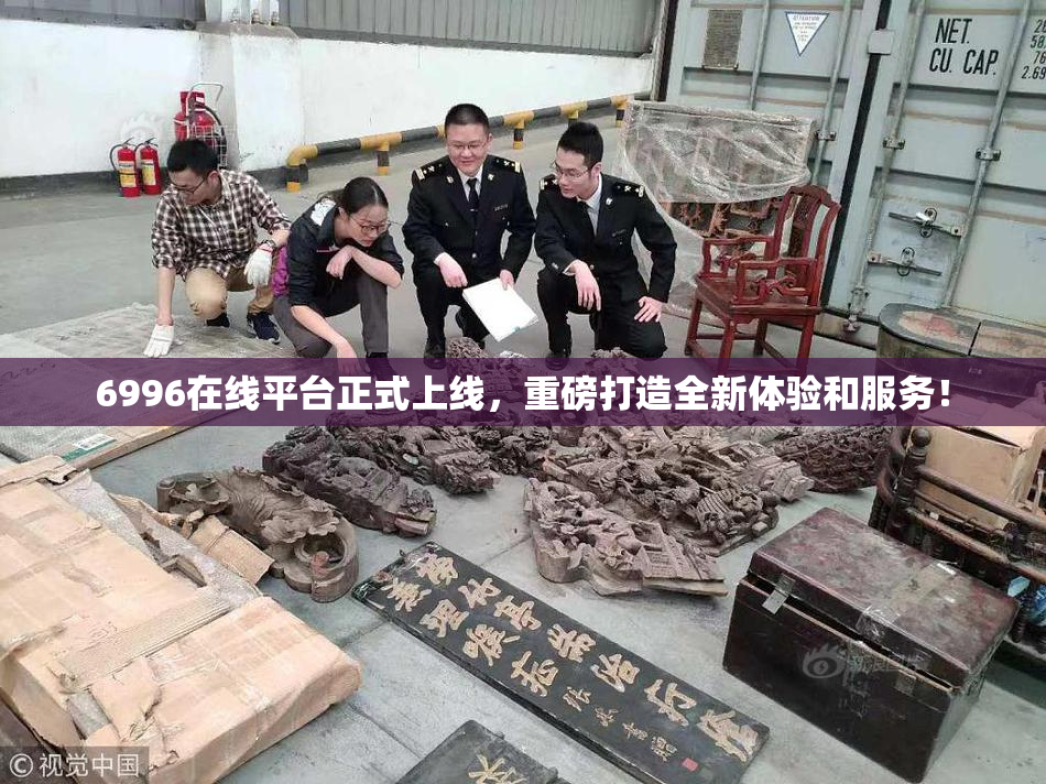 6996在线平台正式上线，重磅打造全新体验和服务！