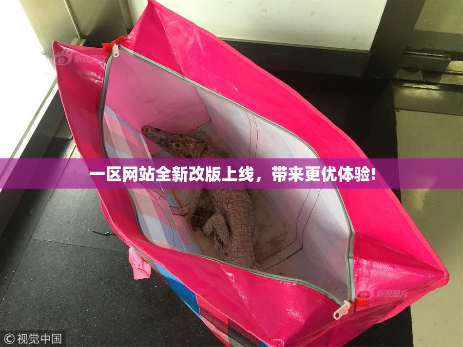 一区网站全新改版上线，带来更优体验!