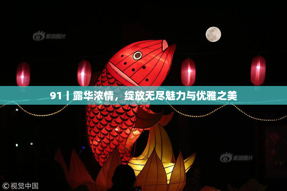 91丨露华浓情，绽放无尽魅力与优雅之美