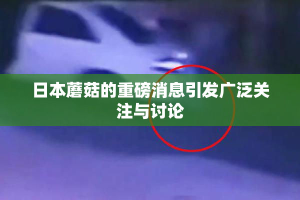 日本蘑菇的重磅消息引发广泛关注与讨论