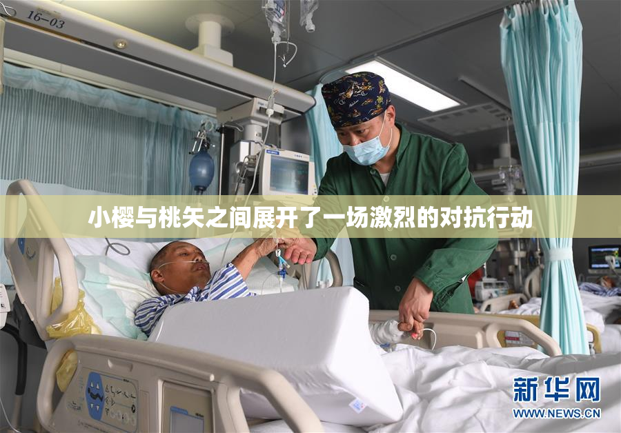 小樱与桃矢之间展开了一场激烈的对抗行动