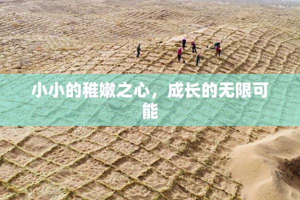 小小的稚嫩之心，成长的无限可能